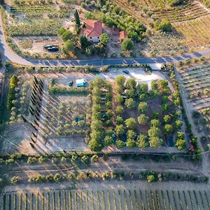 Camping Agricamping Poggio Ai Pini Wine, Certaldo