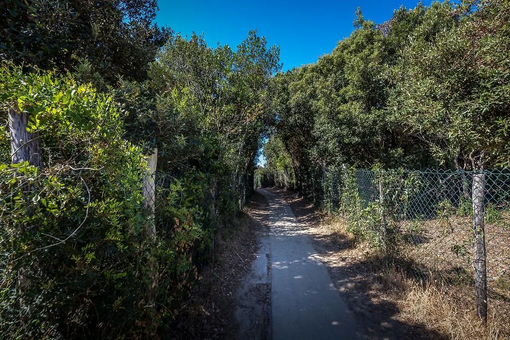 Camping Internazionale Etruria Castiglione della Pescaia Włochy
